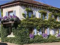 Comfortable Accommodation in Middle of a Winery Hotels in der Nähe von Kaiserstühler Winzerverein Oberrotweil