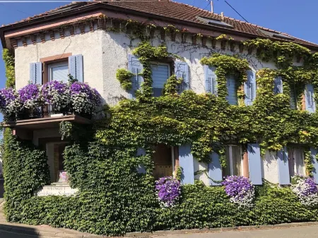 Weinberg-Ferienwohnung, Oberrotweil Отели в г. Фогтсбург