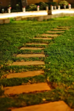 Songs of the Nilgiris