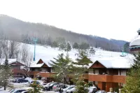 The Inn at Holiday Valley - Mountain view