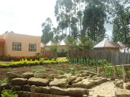 River Bank Hotel Отели в г. Меру