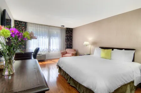 County Inn Отели рядом с достопримечательностью «Гуглплекс»