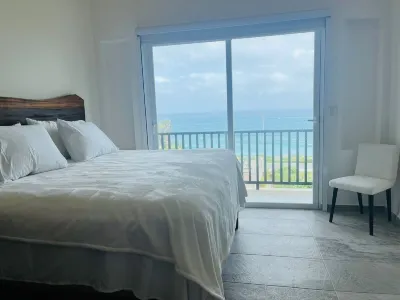 La Diosa Condos penthouse w plunge pool