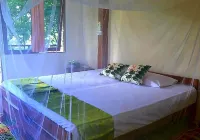 Berakit Bay Resort - Pet-friendly