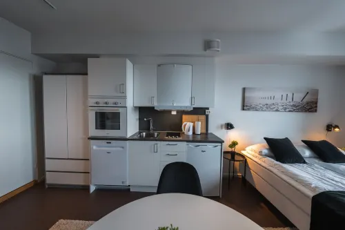 TotalApartments Seminarbakken City Studio - Bjergudsigt