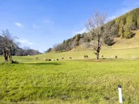 Centrally Located Apartment in Bad Kleinkirchheim