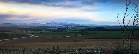 Morris Gardens Apartments Отели в г. Олдмелдрум