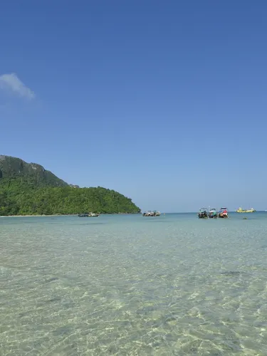 รูปภาพของพีพี ทวิน ปาล์ม บังกะโล