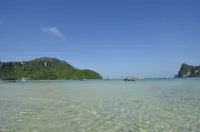 Phi Phi Twin Palms Bungalow