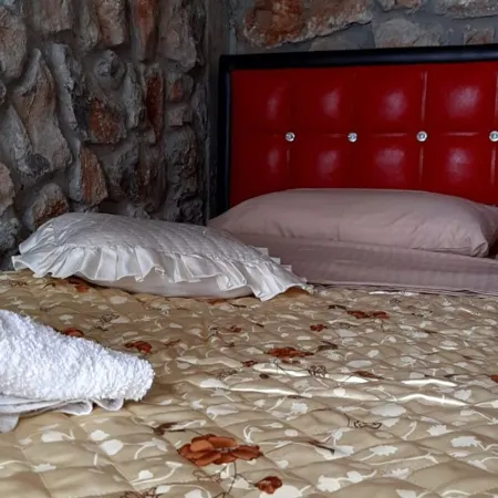 Villa Stone up to Ble Alb Отели в г. Поградец