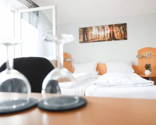 瓦納旅館酒店 艾夏赫-費里德貝格縣酒店