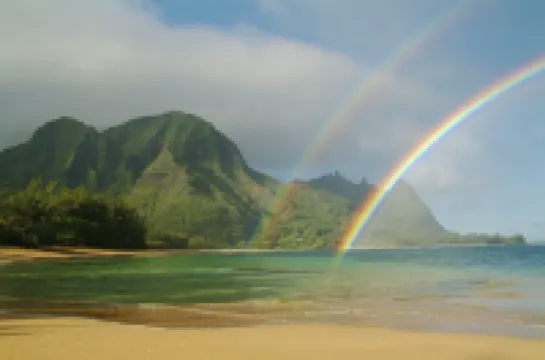 Breathtaking Ocean and Pool Views - Stunning Oceanfront Retreat