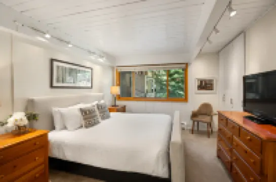 Ski-in Ski-Out Access and Cozy Fireplace - Spectacular Mountain Retreat