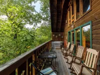 Bear Necessities Hotels in Sevier County