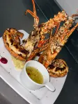 Solaz Boutique Hotel - Pet friendly