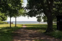 Beach Gardens 46 by Daniel&Jacob's