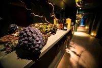 No.1 Pery Square Hotel & Spa - spa