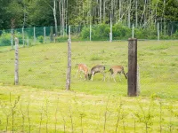 Secluded Chalet in Rogery