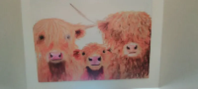 The Cobbler Cottage - Loch Lomond and Arrochar Alps