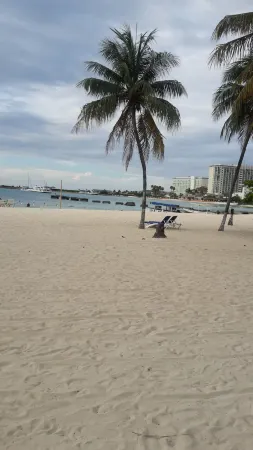 Sunny View at Sandcastle