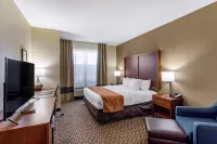 Comfort Inn & Suites Atoka-Millington Hotels in Millington
