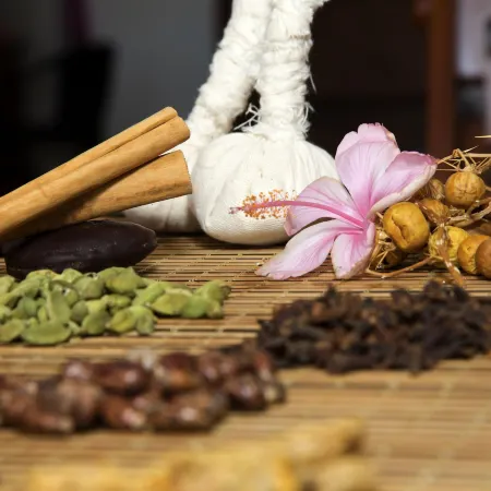 Maalu Maalu Resort & Spa - Thema Collection