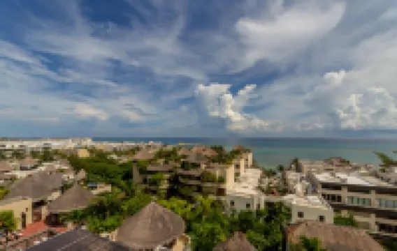 ซิงกูลาร์จอยวาเคชั่นเรนทัลส์