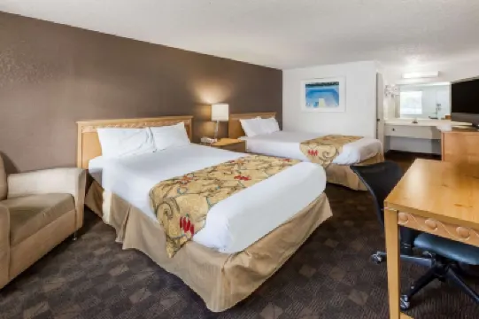 Knights Inn Flint Hotel di 