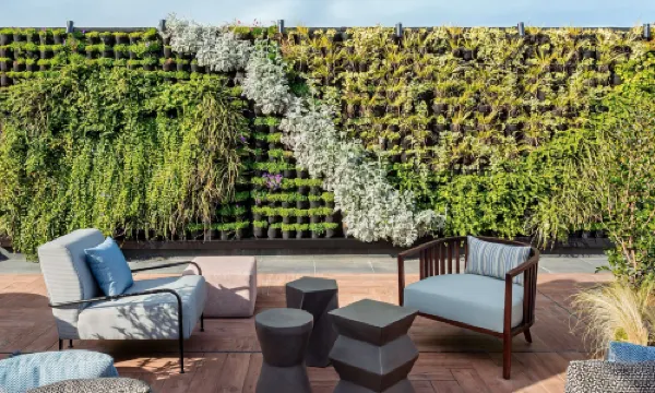 รัดดิสันคอลเลคชั่นบิลบาโอ