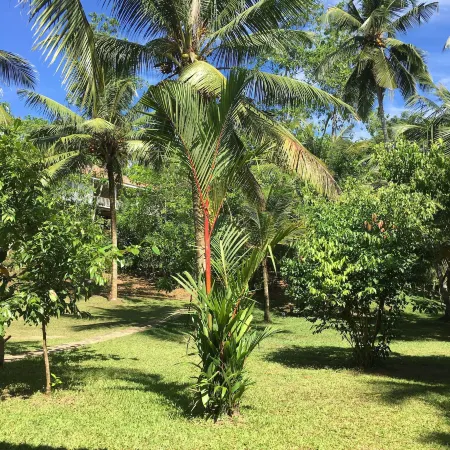 Good Vibes Villas