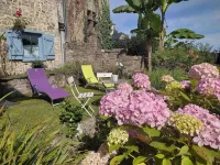 B&B Amphitryon