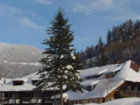 Hotel Lawine Hotels in Todtnau