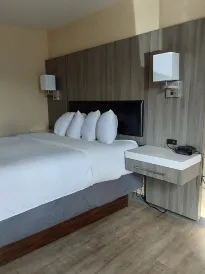 拉維什套房旅館