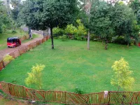 Xotic Resort - Pool
