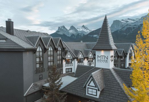 캔모어 액티비티