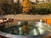 Mill Apartments - spa