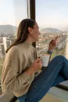 Santiago Marriott Hotel - Mountain view