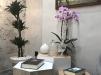 Hostal Boutique la Española Hotele w: Rota