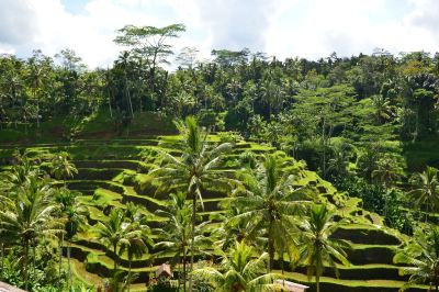 ホテル周辺 ヴァイスロイバリの写真