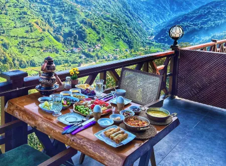 Hayatburdabungalov Отели в г. Yamacdere Koyu