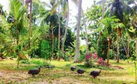 Anuhas Airport Villas - Balkon
