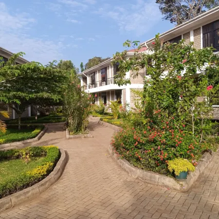 Kilimanjaro Eco Hostel