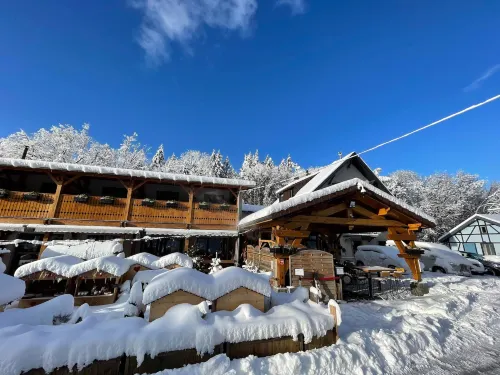 Domaine du Hirtz, Restaurant & Spa - Mountain view