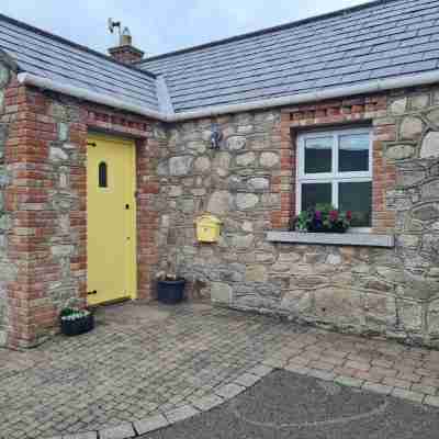 Cottage in the Dublin Mountain Hotel Exterior