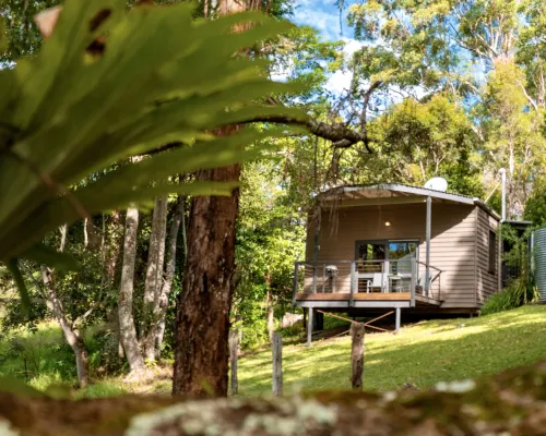 Whispering Valley Cottage Retreat Hotels in Maleny