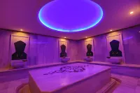 Tiryandafil Otel Hotel a Hacidervis Mahallesi