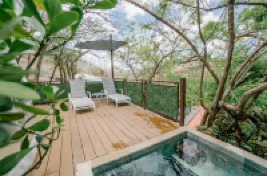 Glamping Tortuga Verde