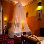 Papa Jolly Eco Resort-Near Morjim Beach