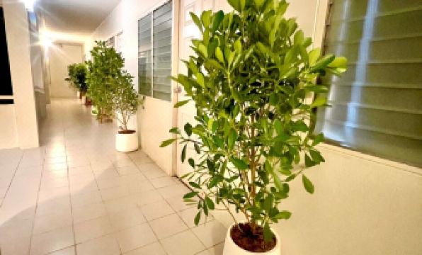 UDEE Cozy Hotel - Housity