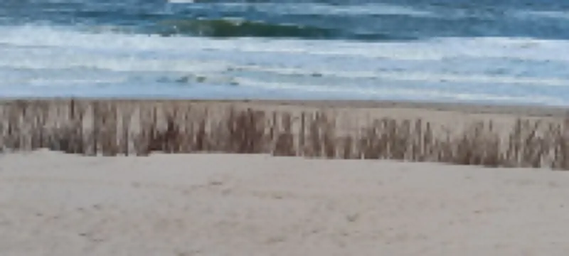 Peacefully located apartment, a few minutes from the beach and the city center